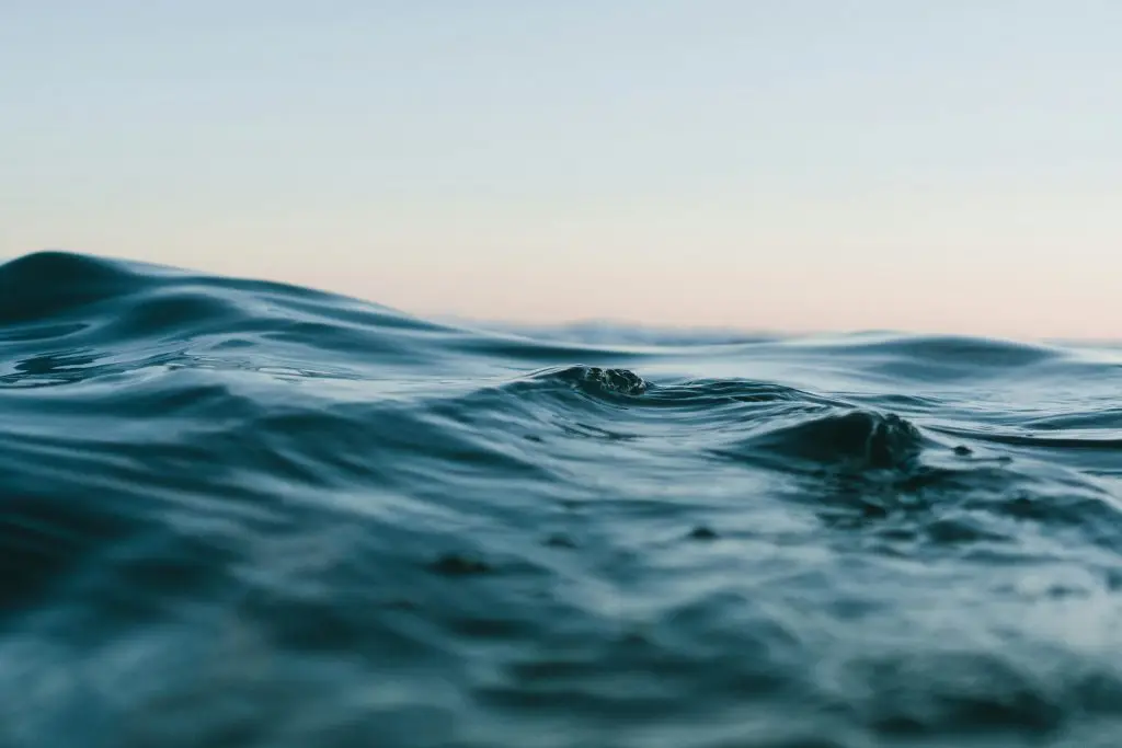 A close-up view of a calm ocean wave at water level, with clear blue-green water and a soft horizon in the background.