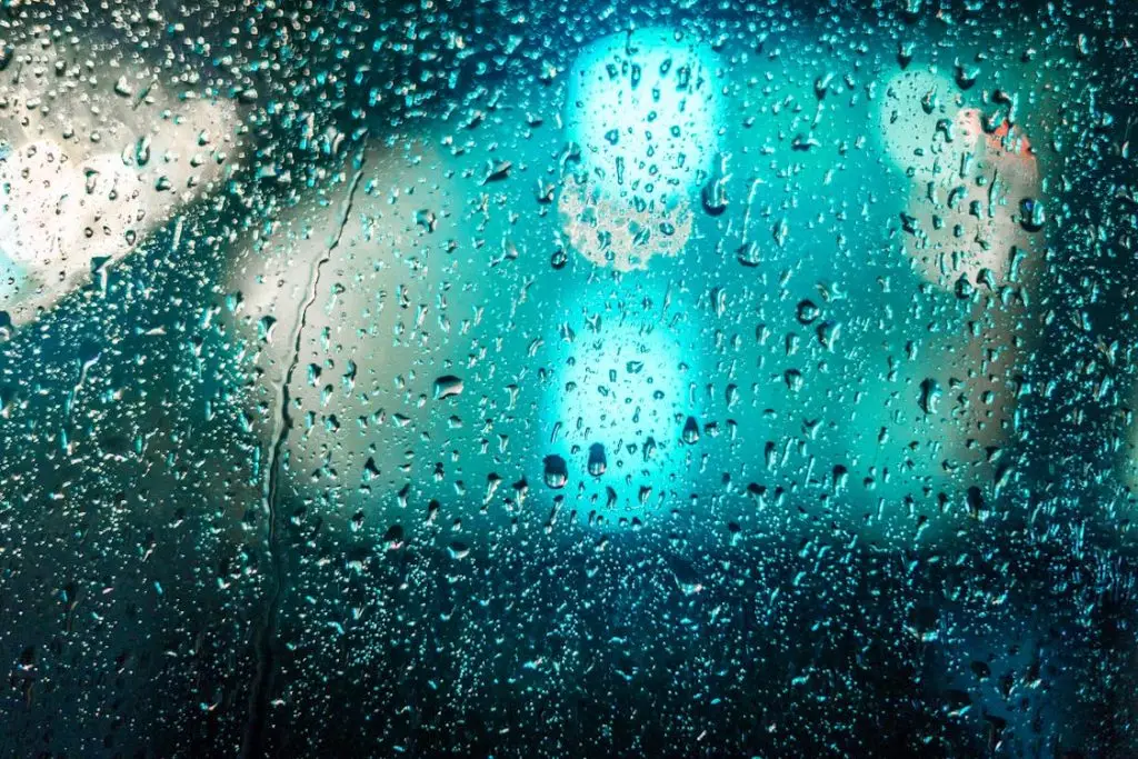 condensation water droplets on window glass showing high indoor humidity South Florida mold conditions